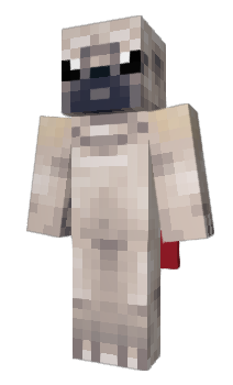 Minecraft skin pug0