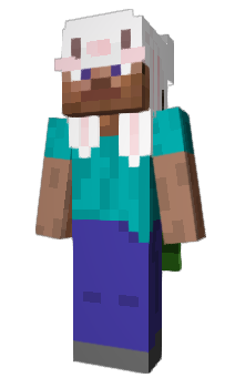 Minecraft skin Hubbck