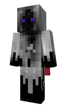 Minecraft skin doolhofx