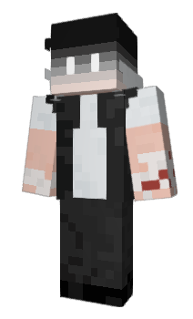 Minecraft skin _Dual