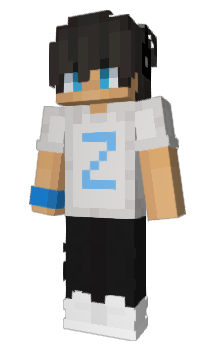 Minecraft skin Zizn