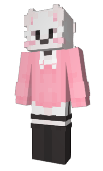 Minecraft skin AKries