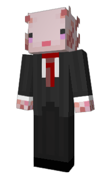 Minecraft skin matchick