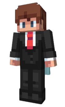 Minecraft skin FastCode