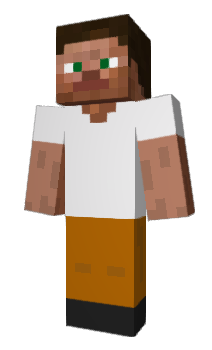 Minecraft skin wacren