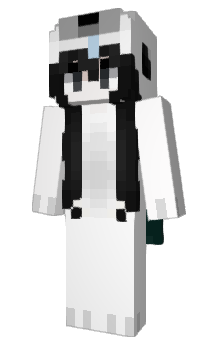 Minecraft skin pqst