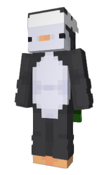 Minecraft skin exxotic