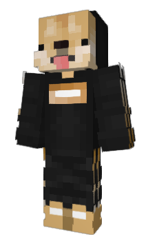 Minecraft skin ninjadora