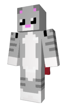 Minecraft скин по нику catgoof