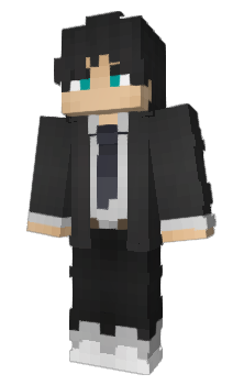 Minecraft skin Portachpor