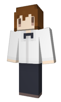 Minecraft skin cog3