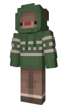Minecraft skin FasterFlash