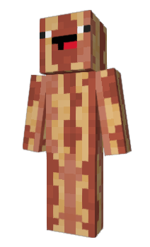 Minecraft skin Bacion