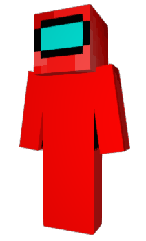 Minecraft skin Piiri