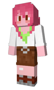 Minecraft skin BarbMine