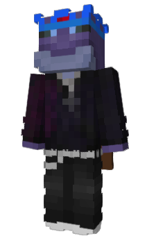 Minecraft skin IConsumeWindex
