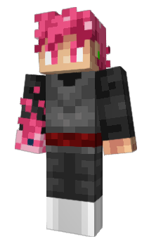 Minecraft skin ErCCa