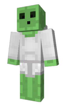 Minecraft скин по нику pacchetto