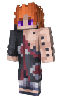 Minecraft skin wegn