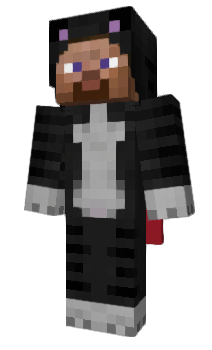 Minecraft skin homd