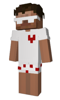 Minecraft skin pajd