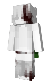 Minecraft skin aeeen_nn