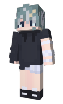 Minecraft skin NES304E2