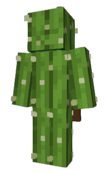 Minecraft скин по нику Fjve