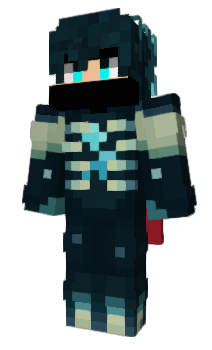 Minecraft skin PHSL