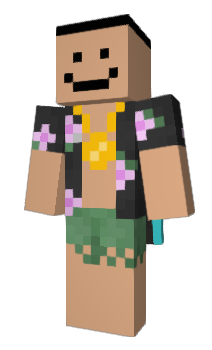 Minecraft skin metanpop