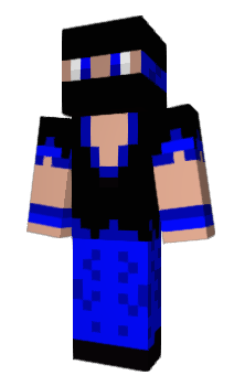 Minecraft скин по нику wshm