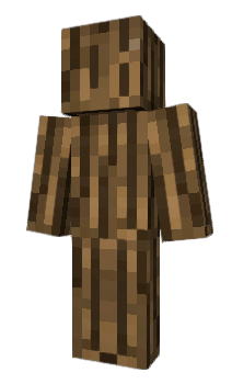 Minecraft skin t02