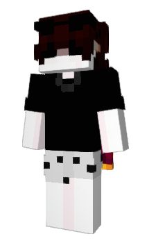 Minecraft skin Vwlly