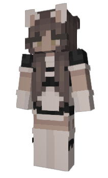 Minecraft skin Nonrare