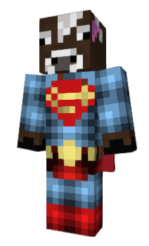 Minecraft skin qlmn