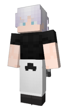 Minecraft skin Raccyyy