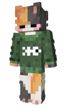 Minecraft скин по нику oXNixXo