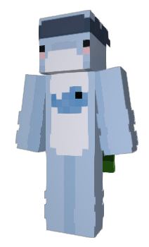 Minecraft skin aquiet