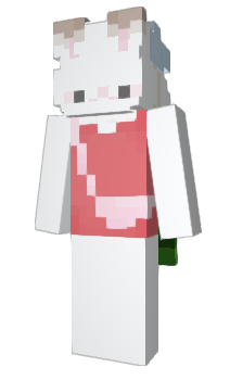 Minecraft skin Heisa