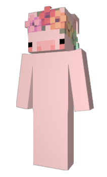 Minecraft skin HoneyBaby