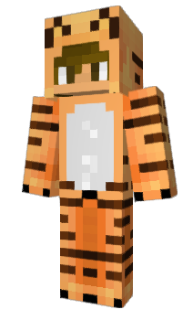 Minecraft skin silefu