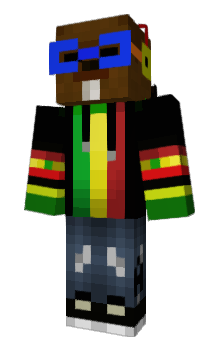 Minecraft skin ZestyX