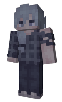 Minecraft skin Hwctor