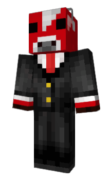 Minecraft skin aaronflash