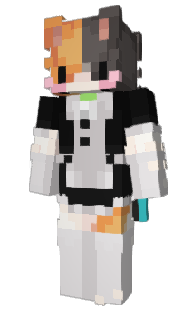 Minecraft skin tinorm34