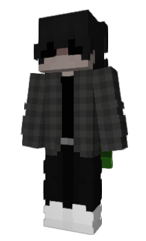 Minecraft skin 1valid