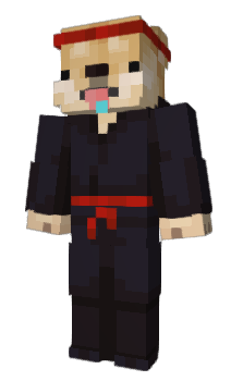 Minecraft skin Xdanil