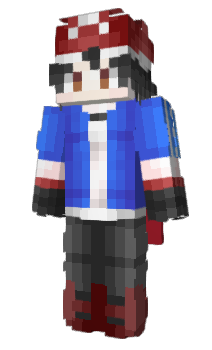 Minecraft skin the___