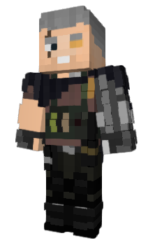 Minecraft skin Pakmar