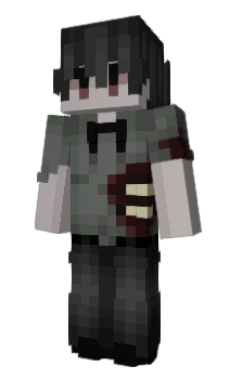 Minecraft skin THETEAM